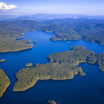 Skąd się bierze woda w lesie?